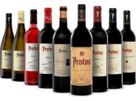 Vinos de la Bodegas Protos